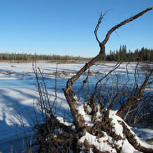 Winter wonderland