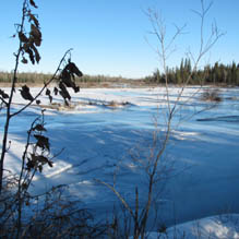 Winter wonderland with iced-over Elbow River